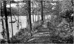 Lake Warner
