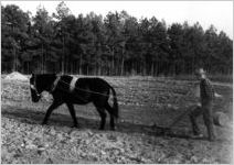 Farm life