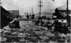 Maple Street filled with cotton