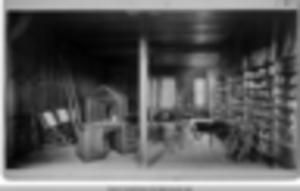 Speciman Room - Knowles Building