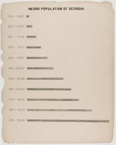 [The Georgia Negro] Negro population of Georgia.