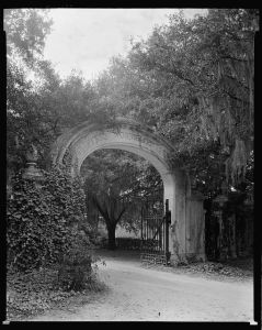 Wormsloe Plantation, Savannah vic., Chatham County, Georgia
