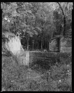 Tabby Fort at Wormsloe, Savannah, Chatham County, Georgia