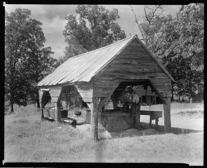 Woods Plantation, Washington vic., Wilkes County, Georgia