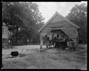 Woods Plantation, Washington vic., Wilkes County, Georgia