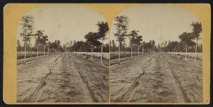 National cemetery, Andersonville, Ga.
