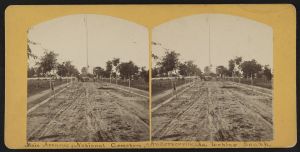 Main avenue, National Cemetery, Andersonville, Ga, looking south