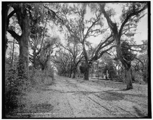 Bonaventure Cemetery, Savannah, Ga.