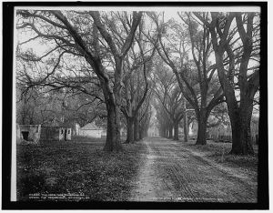 The Hermitage, Savannah, Ga.