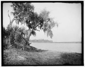 [Wilmington River at Bonaventure, Savannah, Ga.]