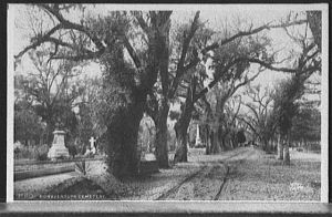 Bonaventure Cemetery, [Savannah, Ga.]