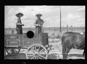 [Untitled photo, possibly related to: Mr. Foster's mule team and wagon, Irwinville Farms, Georgia]