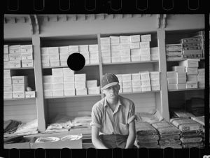[Untitled photo, possibly related to: Farm boy in the cooperative store at Irwinville Farms, Georgia]