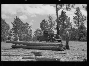 [Untitled photo, possibly related to: Wife and children of tenant farmer who has been resettled, Irwin County, Georgia]
