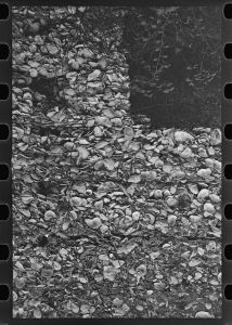 [Untitled photo, possibly related to: Tabby construction. Ruins of supposed Spanish mission, St. Marys, Georgia]