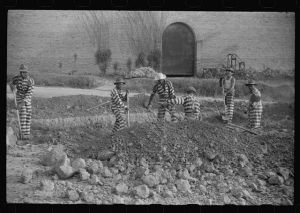 [Untitled photo, possibly related to: Georgia convicts working on a road in Oglethorpe County]