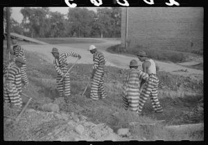 [Untitled photo, possibly related to: Georgia convicts working on a road in Oglethorpe County]