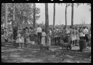 [Untitled photo, possibly related to: Picnic at Irwinville Farms, Georgia, on May Day]