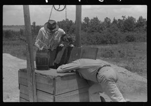 FSA (Farm Security Administration) supervisor inspecting rehabilitation borrower's well. Greene County, Georgia