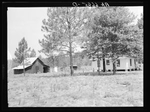 Grady Watson was moved from a shack in Irwinville to this home and farm unit in Irwinville Farms rural resettlement project. This view shows the Federal Emergency Relief Administration (FERA) house and the "Bryan" barn