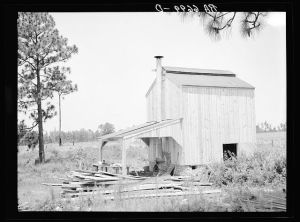 Flue cure tobacco barn on Irwinville Farms, Rural Resettlement Administration project at Irwinville, Georgia