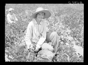Daughter of Rural Rehabilitation Administration farmer picking butterbeans for her neighbor in field of an occupant of Wolf Creek Farms homestead. Near Cairo, Georgia