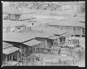 Negro houses. Atlanta, Georgia
