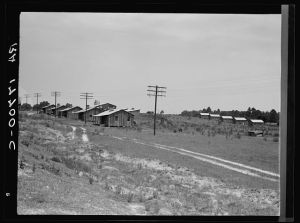 Turpentine camp. Godwinsville, Georgia