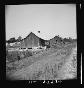 Home of turpentine workers near Godwinsville, Georgia