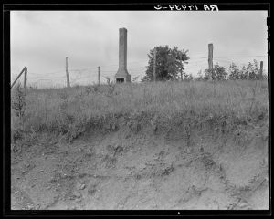 Standing chimneys are a common sight in Greene County, Georgia. They often stand in gullied fields and indicate where once was a plantation home