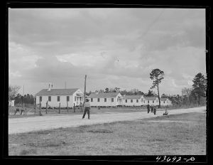 Playing ball at Hazlehurst Farms, Inc.