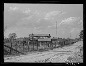 [Untitled photo, possibly related to: Abandoned turpentine still might be put to use by Hazlehurst Farms Inc., Hazlehurst, Georgia]