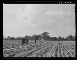 Family working in their two-acre tract in the community garden at Hazlehurst Farms Inc., Hazlehurst, Georgia