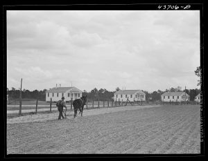 [Untitled photo, possibly related to: Old farmer plowing in his part of the community garden at Hazlehurst Farms Inc., Hazlehurst, Georgia]