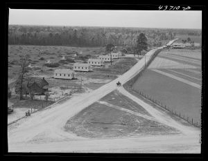 [Untitled photo, possibly related to: View of Hazlehurst Farms Inc., Hazlehurst, Georgia]