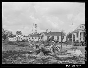 At Hazlehurst Farms Inc., Hazlehurst, Georgia