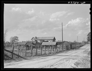 Abandoned turpentine still might be put to use by Hazlehurst Farms Inc., Hazlehurst, Georgia