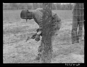 Putting up a fence at the community garden for the Negroes at Hazlehurst Farms Inc.