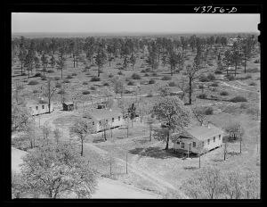 [Untitled photo, possibly related to: Prefabricated houses at Hazlehurst Farms Inc., showing both cleared and uncleared land. Hazlehurst, Georgia]