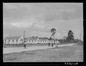 [Untitled photo, possibly related to: Playing ball at Hazlehurst Farms, Inc.]