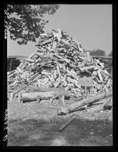 Betty Smith gathering wood. Daughter of Lemuel Smith, FSA (Farm Security Administration) borrower in Carroll County, Georgia