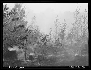 A brush fire in Heard County, Georgia