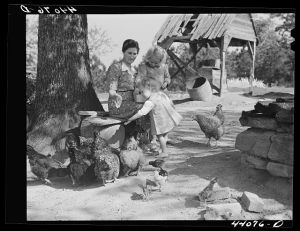 Mrs. L. Smith and two of the children feeding the chickens. Carroll County, Georgia