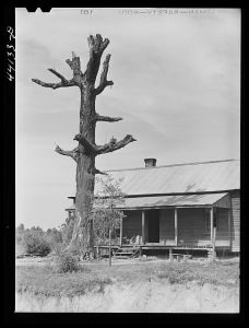 House along the road in Heard County, Georgia