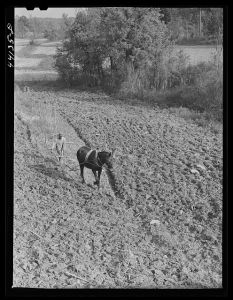 Plowing. Heard County, Georgia