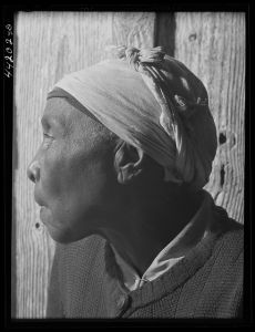 Mrs. Fanny Parrott, wife of an ex-slave near Siloam, Greene County, Georgia