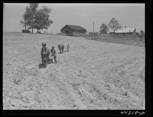 Negro tenant plowing on his farm in Heard County, Georgia