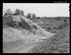 Sawdust pile. Heard County, Georgia