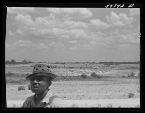 Negro tenant farmer with landscape of the Jackson farm near White Plains, Greene County, Georgia