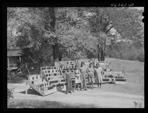 [Untitled photo, possibly related to: FSA (Farm Security Administration) family with the 1000 cans of fruit, vegetables, etc. they have canned for the winter. Near White Plains, Greene County, Georgia]